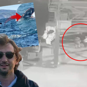 sir kazada kritik gelisme kaptanin goruntuleri guvenlik kamerasinda halit yukay hala kayip 5fUEydhC