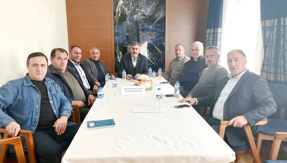 ardahan sigir yetistiriciliginde basarilar SibLX1rN.jpg