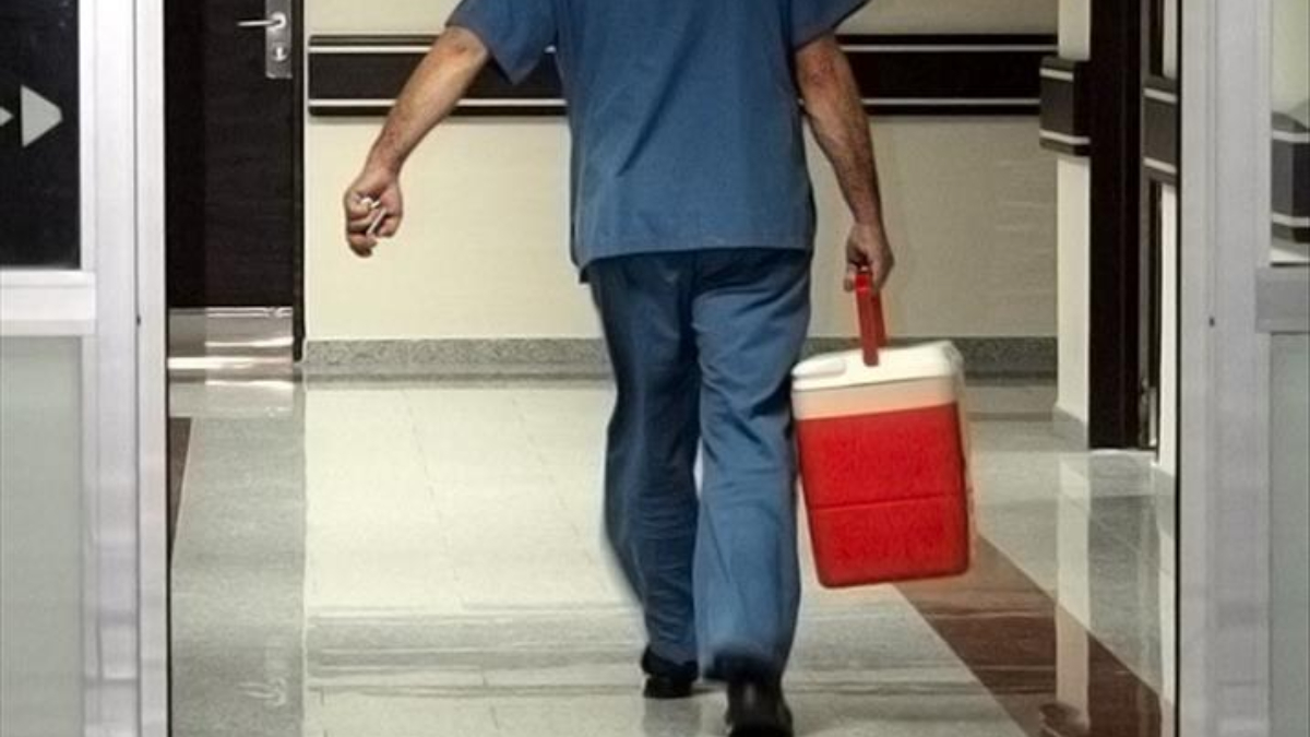 turkiyede 33 bine yakin hasta organ nakli bekliyor Wfc5OGav.jpg