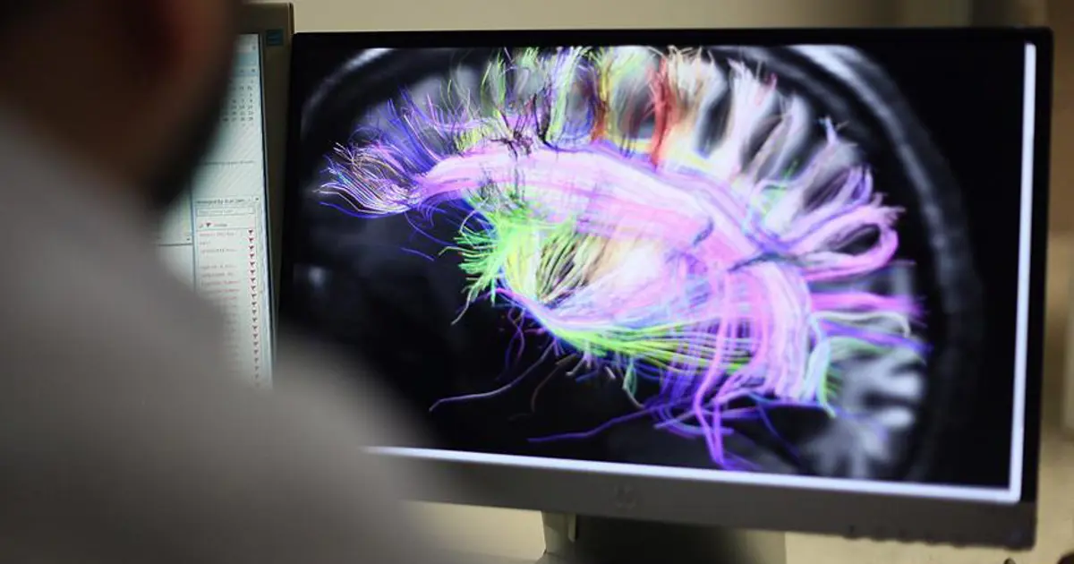 Bencilliğin çaresi bulunmuş olabilir: Beyinde gama senkronizasyonu